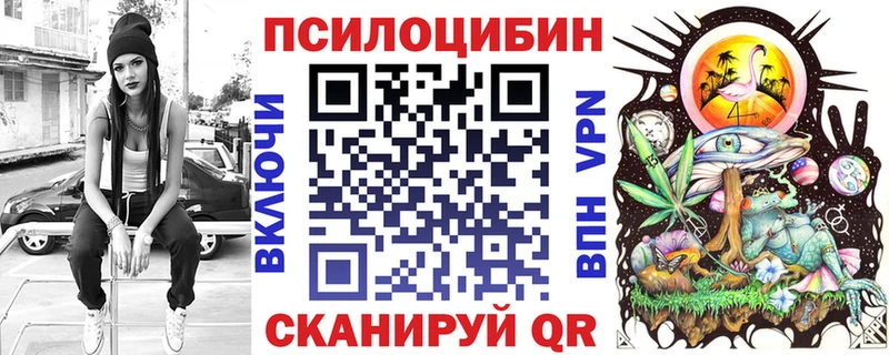 Псилоцибиновые грибы Psilocybe  закладки  Приволжский 
